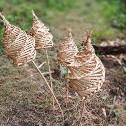 Willow Mushroom Weaving