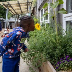 Summer Beach Party at LEYF Children's Garden Nursery