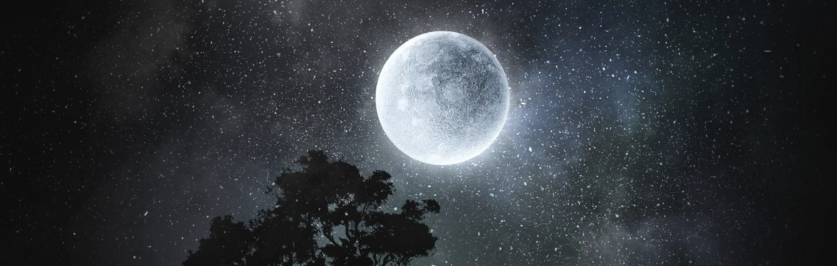 Full Moon Ritual with Blue Lotus & Rose hosted by "All That We Are"
