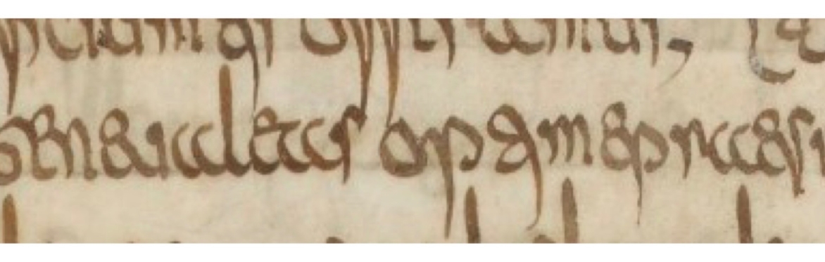 Ecriture de Luxeuil: a French Merovingian script - coloured example