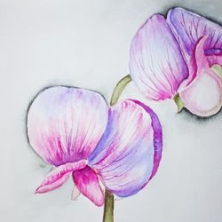 Drawing & Painting Workshops - Watercolour Painting