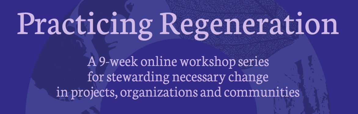 Practicing Regeneration: a 9-week online workshop series for stewarding necessary change in projects, organizations and communities