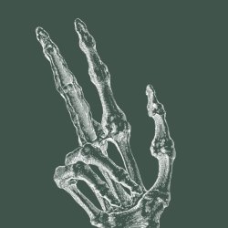 Anatomy Course - Hands