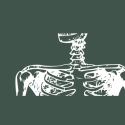 Anatomy Course - Neck & Shoulders