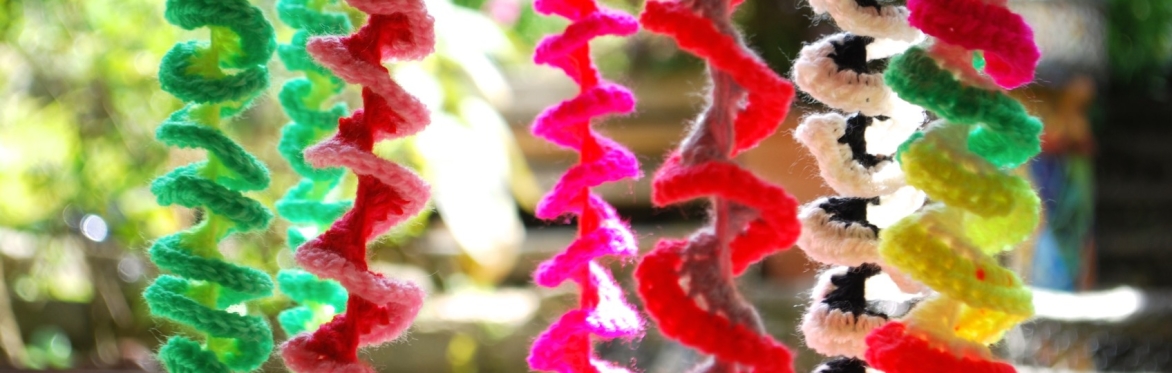 Workshop: Much Ado About Crochet (Macphail Centre)