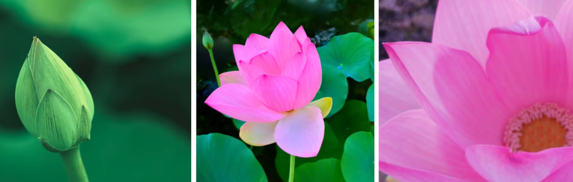 Christian-Zen retreat at Ripon College