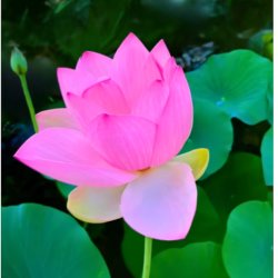 Christian-Zen retreat at Ripon College