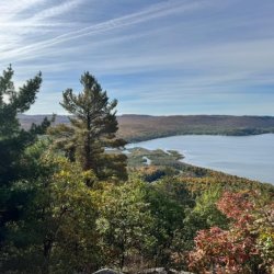 Ecological Corridors and Environmental Problem Solving