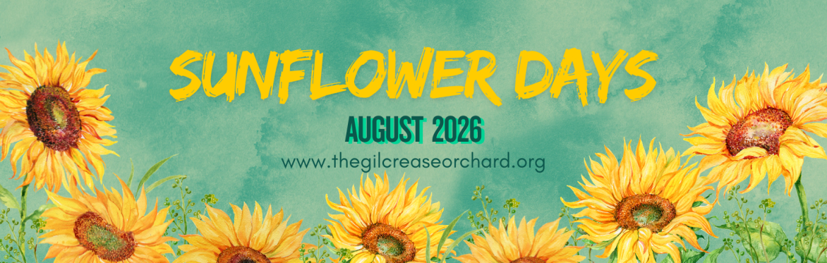 Sunflower Days August 2026