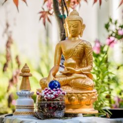 ​16 Guidelines Meditation Course