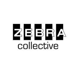 PTMF with Dr Lucy Johnstone & Zebra Collective