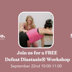 FREE Defeat Diastasis: Core + Pelvic Floor Workshop @ Spring