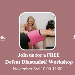 FREE Defeat Diastasis: Core + Pelvic Floor Workshop @ Spring