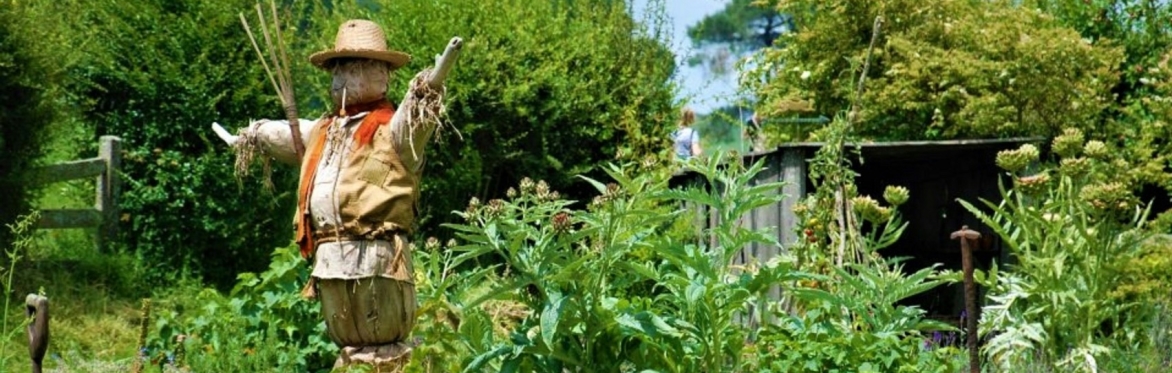Scarecrow Build at Harewood House