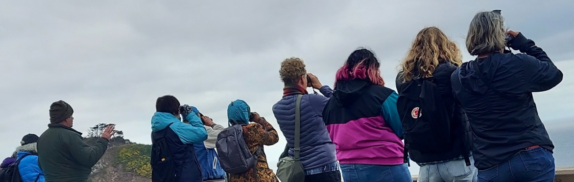 Nature Walk and Bird Count -- August