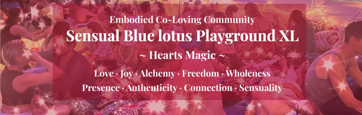 Sensual Hearts Blue lotus Playground XL