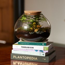 Terrarium Workshop - Halloween 🎃 themed - October 2026