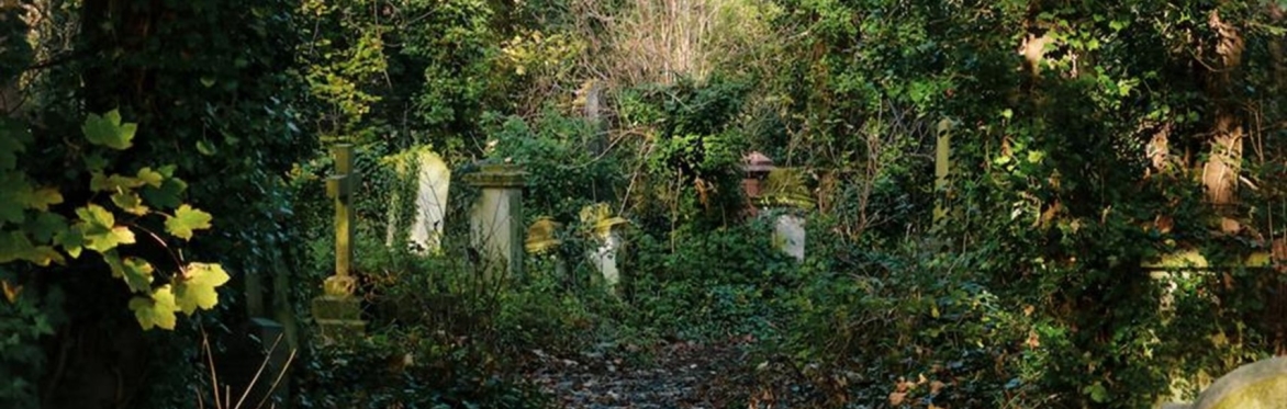 overgrown cemetery path