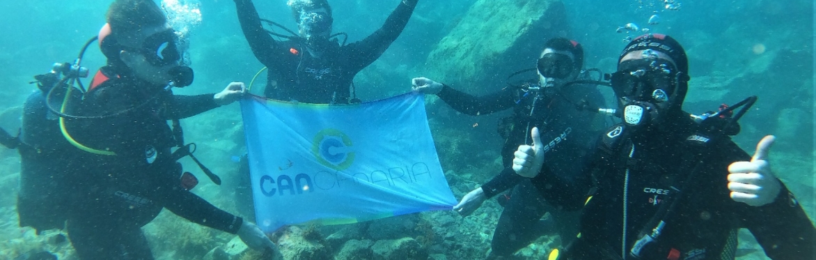 Scuba Diving and PADI Course