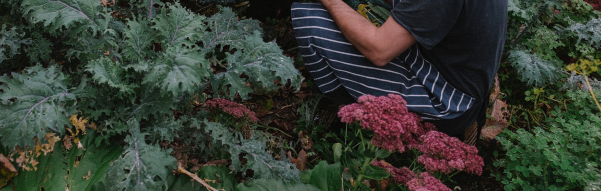 The Perfect Place to Grow x Broadstairs Food Festival