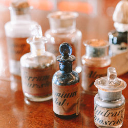 herbal medicine course