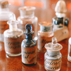 herbal medicine course