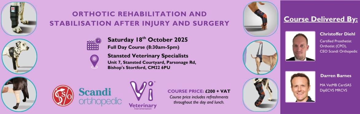 Orthotic Rehabilitation and Stabilisation after Injury and Surgery