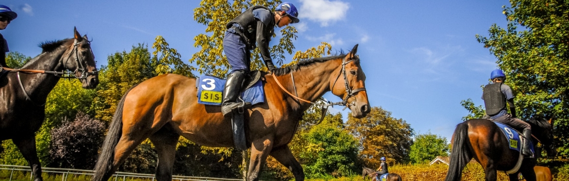 Exclusive Tickets4Troops Jo Davis Stable Visit