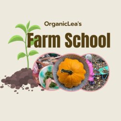OrganicLea's Farm School Pilot June 26