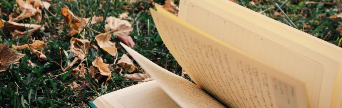Art in the Orchard: Beginner's poetry workshop with Matthew Stoppard (Wortley)