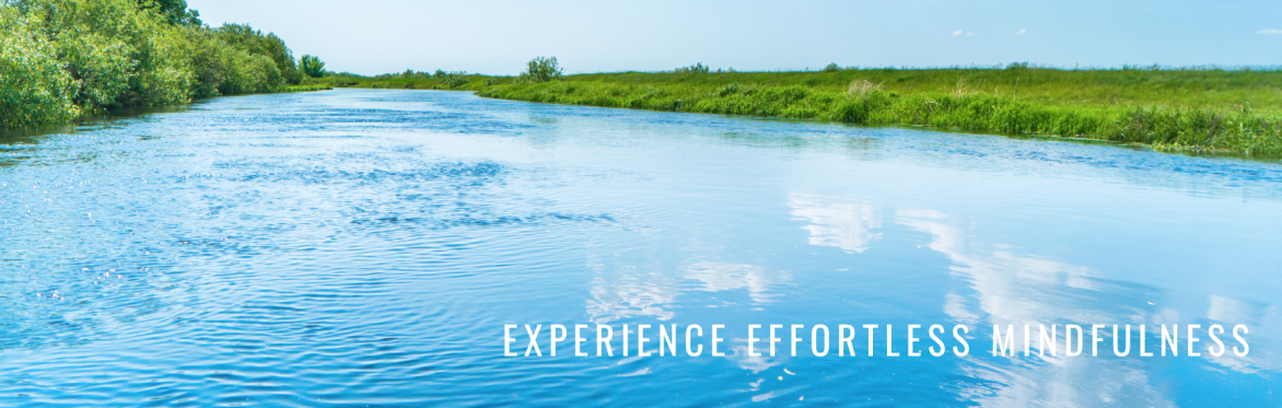 Experience Effortless Mindfulness with Loch Kelly