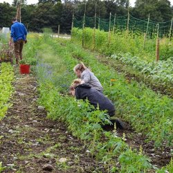 Land, Food, Community - A Farm Walk at Loch Arthur
