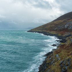 'Conserving and Restoring Calcareous Grassland in the Burren, Using the Old Irish Goat' with Bríd Burke
