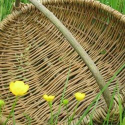 Tuesday evening weave - Making willow frames (for future baskets!)