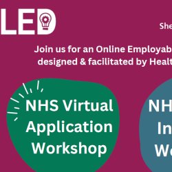 NHS Application and Interview Workshops