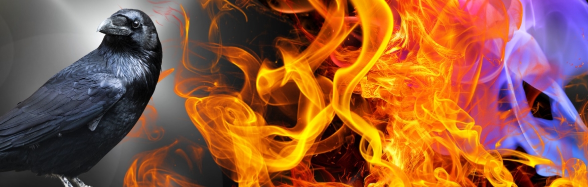 Raven and flames