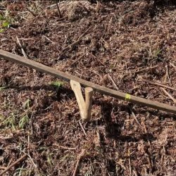 Austrian Scythe