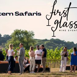 A Solo‑Friendly Vineyard Adventure