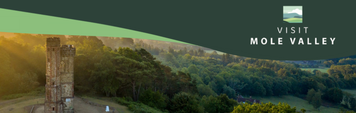 Visit Mole Valley Tourism Forum