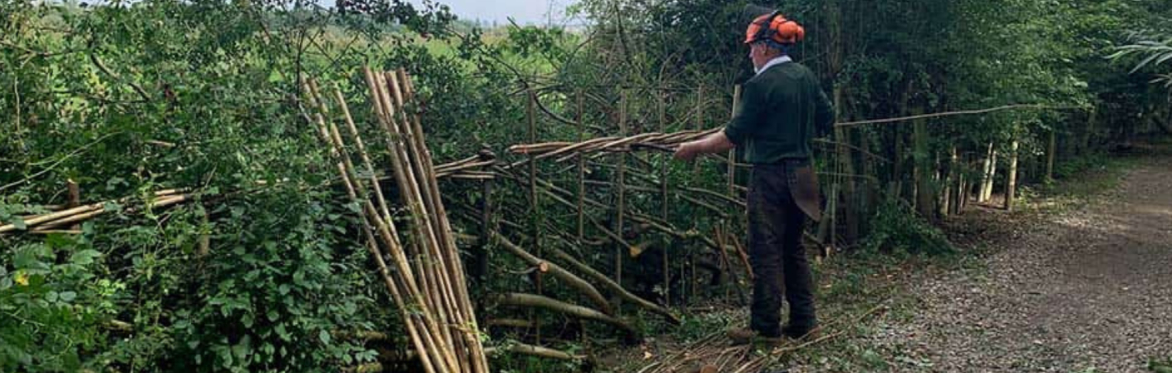 Introduction To Hedgelaying Training Course