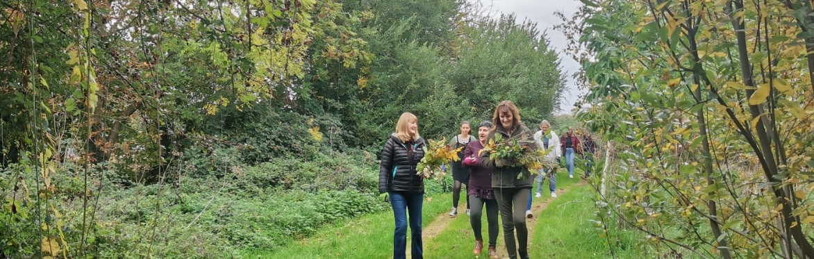 people foraging in woodlands