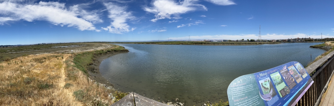Nature Walk and Bird Count — December, with LushNature