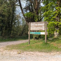 Guided Peatlands Walk
