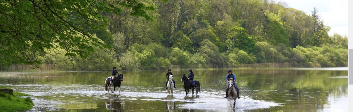 BHS Proprietor's Conference - Castle Leslie Equestrian Centre