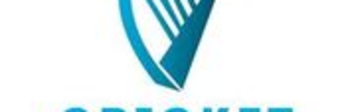 Cricket Leinster Coaching Course: Coaching Cricket