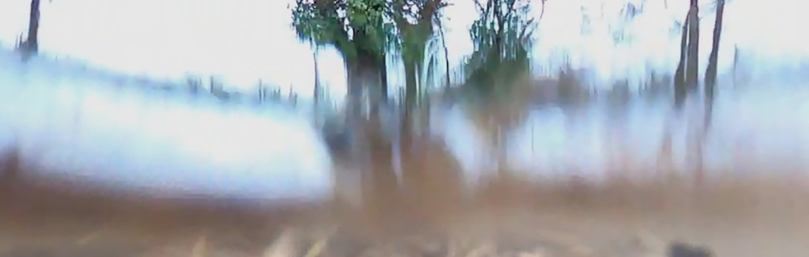 Sensing waste / water / place: A creative workshop with Feral Practice and Bryony Gillard 