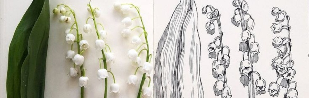 Adult Art Workshop