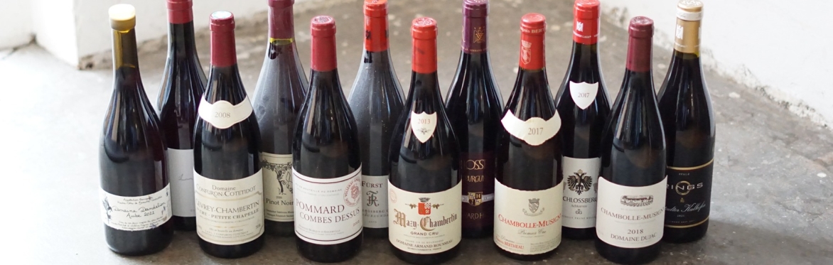 23.2. Abendprobe: Pinot Noir vs. Spätburgunder