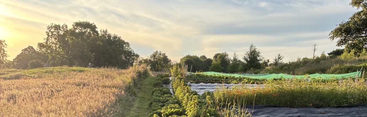 Volunteering Sessions at Laurelbank Farm - 2026