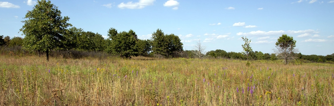 Fort Worth NPAT Members Only Holiday Prairie Hike & Wine Tasting